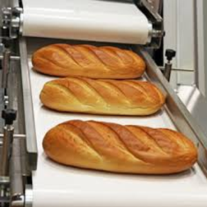 Belt conveyor in food industry